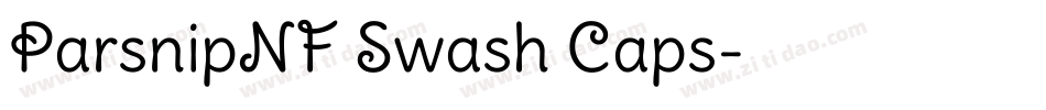 ParsnipNF Swash Caps字体转换
